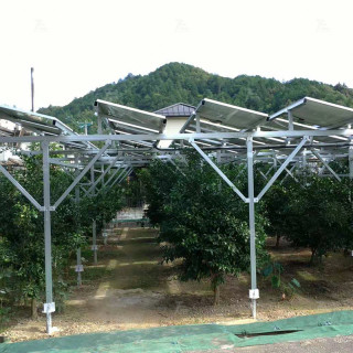 Agrivoltaic Solar Mounting System